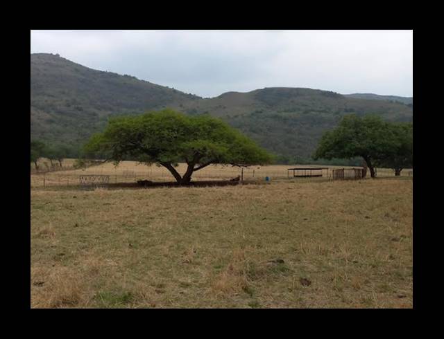 236HA FARM SOLD IN NELSPRUIT RURAL